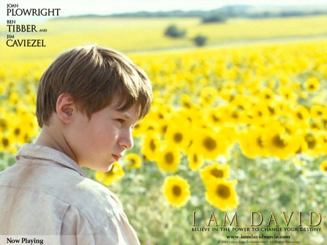 Ben Tibber Fotoğrafı