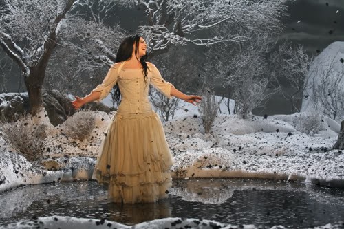 Amy Lee Fotoğrafı