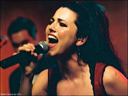 Amy Lee Fotoğrafı