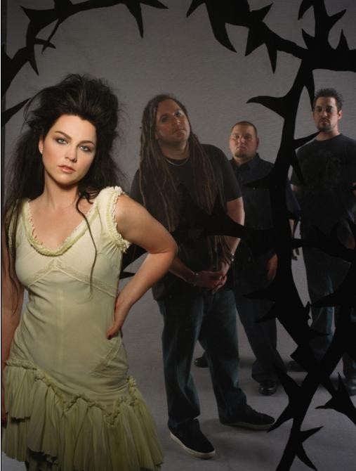 Amy Lee Fotoğrafı