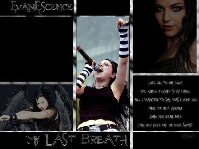 Amy Lee Fotoğrafı
