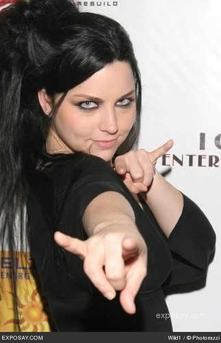 Amy Lee Fotoğrafı