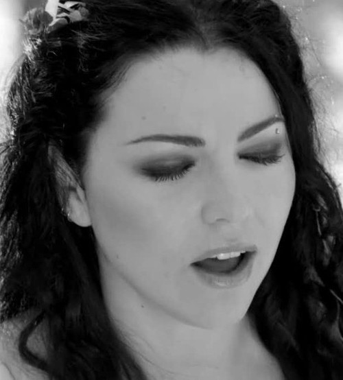 Amy Lee Fotoğrafı
