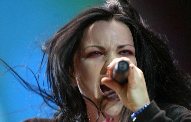Amy Lee Fotoğrafı