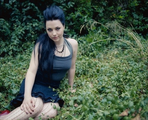 Amy Lee Fotoğrafı
