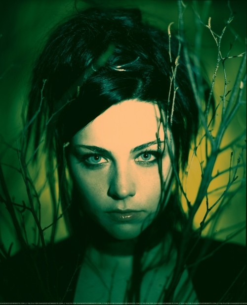 Amy Lee Fotoğrafı
