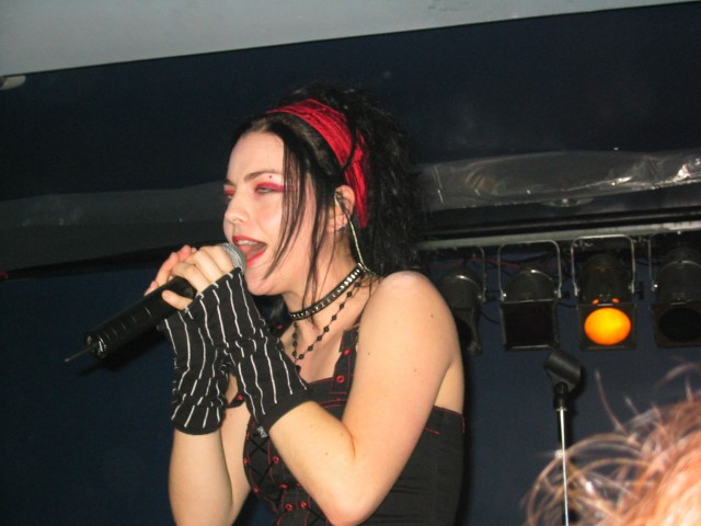 Amy Lee Fotoğrafı