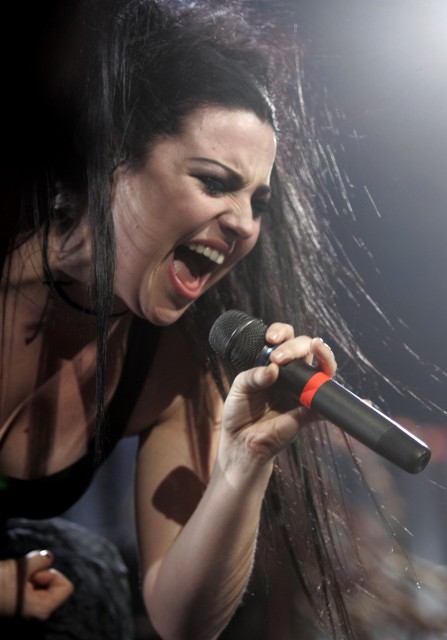 Amy Lee Fotoğrafı
