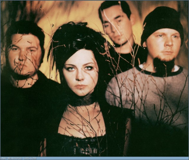 Amy Lee Fotoğrafı