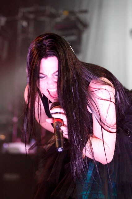 Amy Lee Fotoğrafı