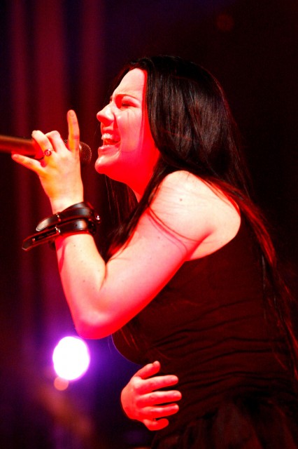 Amy Lee Fotoğrafı