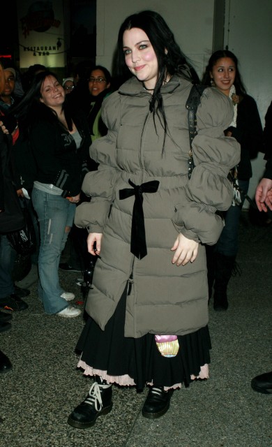 Amy Lee Fotoğrafı