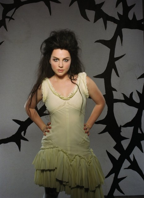 Amy Lee Fotoğrafı