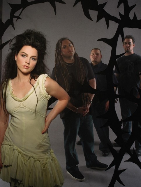 Amy Lee Fotoğrafı