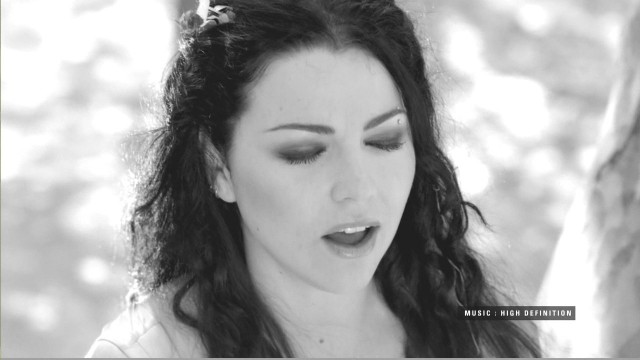 Amy Lee Fotoğrafı