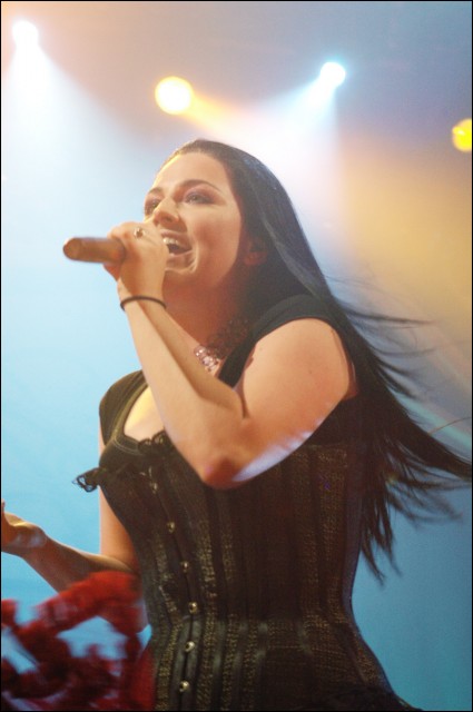 Amy Lee Fotoğrafı