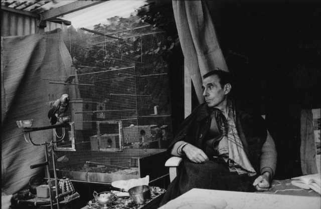 Louis Ferdinand Céline Fotoğrafı