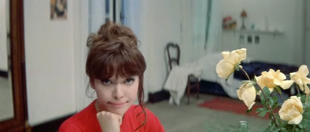 Anna Karina Fotoğrafı