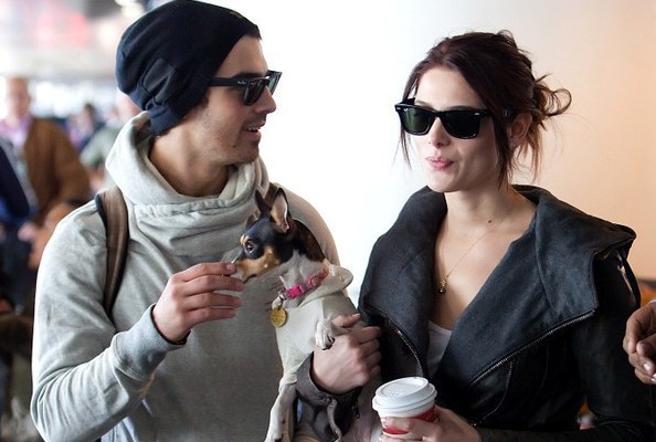 Ashley Greene Fotoğrafı