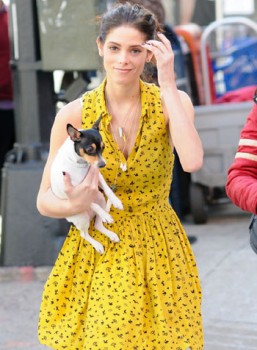 Ashley Greene Fotoğrafı