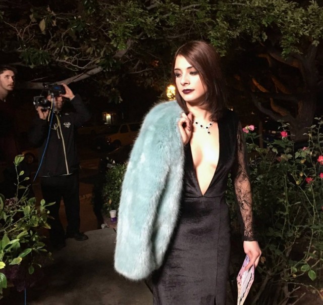 Niki Koss Fotoğrafı