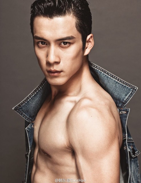 Elvis Han fotoğrafı
