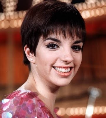 Liza Minnelli fotoğrafı