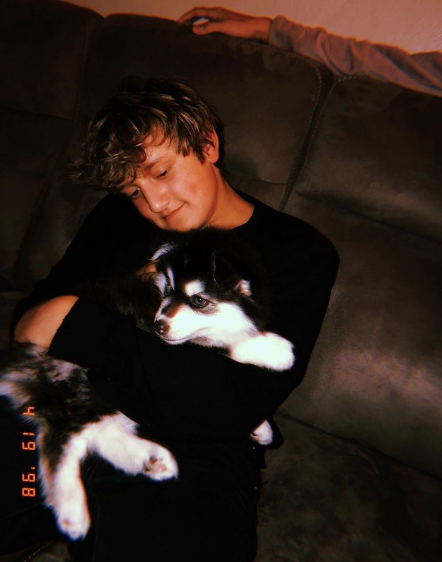 Gator De St. Jeor fotoğrafı