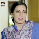 Ayesha Gul fotoğrafı