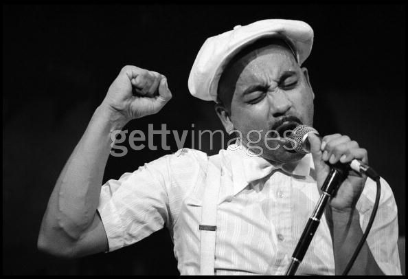 Coati Mundi fotoğrafı