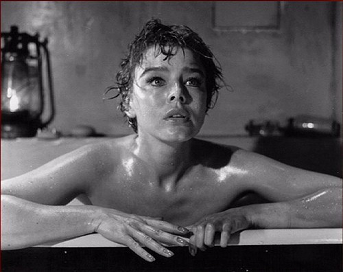 Janet Munro fotoğrafı