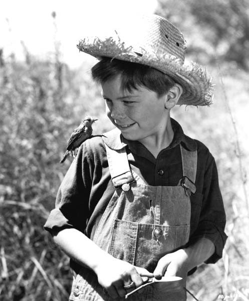 Bobby Driscoll Fotoğrafı