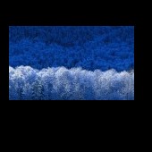 Avatar Resmi