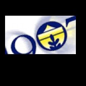 Avatar Resmi