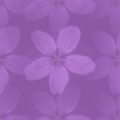 mbdyed