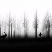 mistrustful