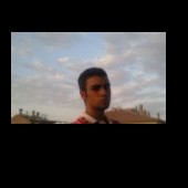 zanzara44