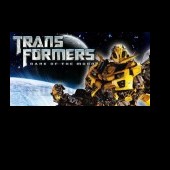 bumblebee-tolga