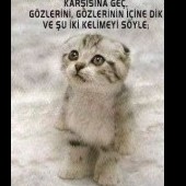 bridqe